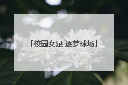 校园女足 逐梦球场