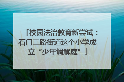 校园法治教育新尝试：石门二路街道这个小学成立“少年调解庭”