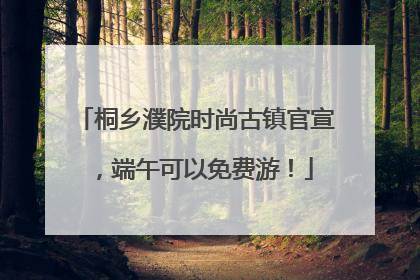桐乡濮院时尚古镇官宣，端午可以免费游！