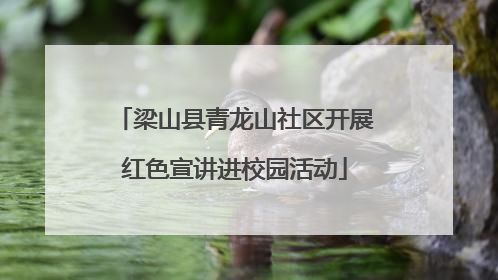 梁山县青龙山社区开展红色宣讲进校园活动