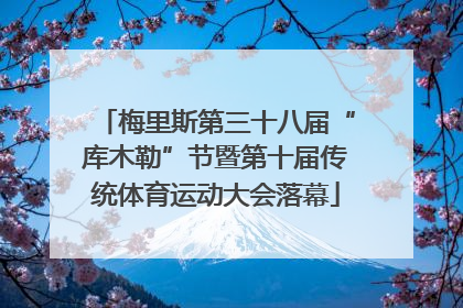 梅里斯第三十八届“库木勒”节暨第十届传统体育运动大会落幕