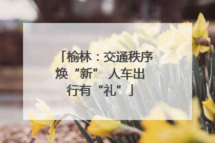 榆林：交通秩序焕“新” 人车出行有“礼”
