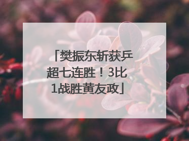 樊振东斩获乒超七连胜！3比1战胜黄友政
