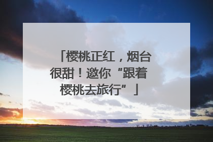 樱桃正红，烟台很甜！邀你“跟着樱桃去旅行”