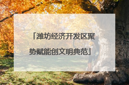 潍坊经济开发区聚势赋能创文明典范