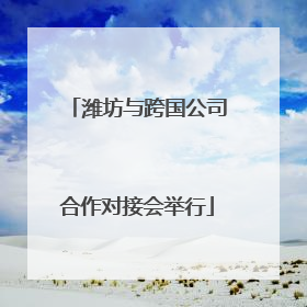 潍坊与跨国公司合作对接会举行
