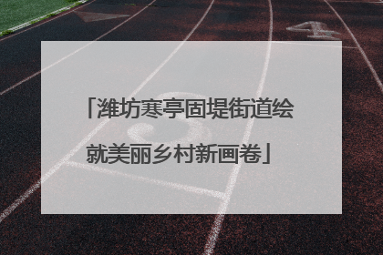 潍坊寒亭固堤街道绘就美丽乡村新画卷