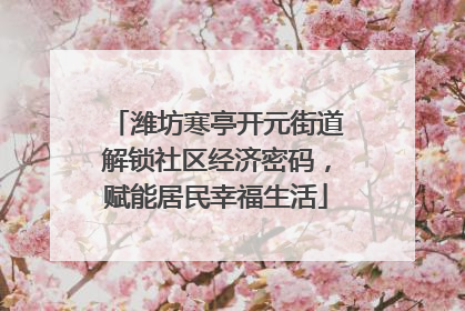 潍坊寒亭开元街道解锁社区经济密码，赋能居民幸福生活