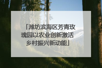 潍坊滨海区芳青玫瑰园以农业创新激活乡村振兴新动能