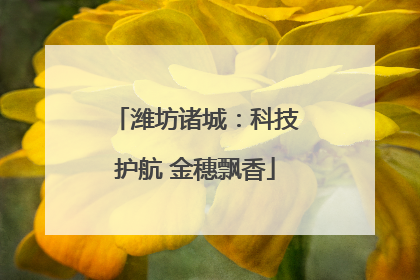 潍坊诸城：科技护航 金穗飘香