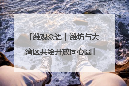 潍观众语｜潍坊与大湾区共绘开放同心圆