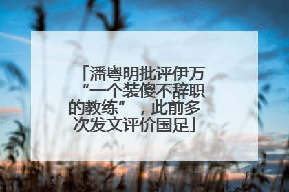 潘粤明批评伊万“一个装傻不辞职的教练”，此前多次发文评价国足