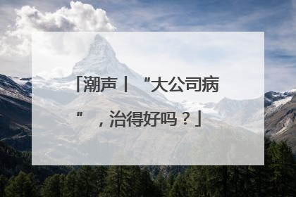 潮声丨“大公司病”，治得好吗？