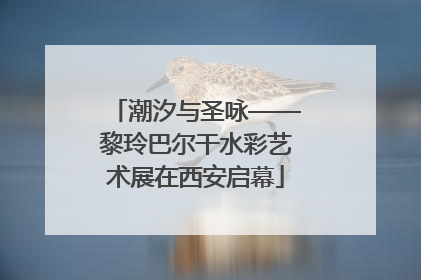 潮汐与圣咏——黎玲巴尔干水彩艺术展在西安启幕