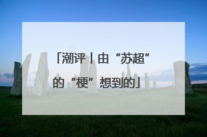潮评丨由“苏超”的“梗”想到的