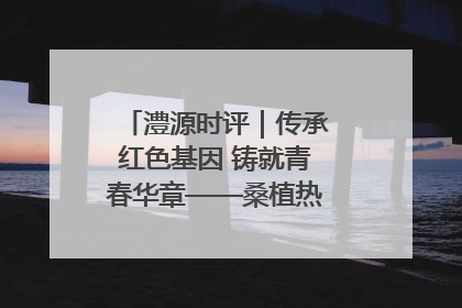 澧源时评｜传承红色基因 铸就青春华章——桑植热土上的青春长征
