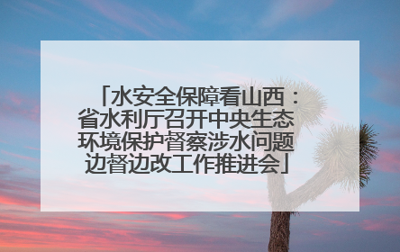 水安全保障看山西：省水利厅召开中央生态环境保护督察涉水问题边督边改工作推进会