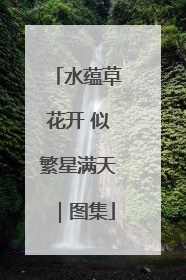 水蕴草花开 似繁星满天｜图集