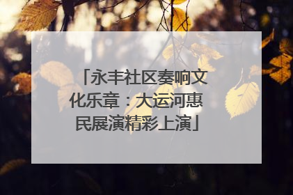 永丰社区奏响文化乐章：大运河惠民展演精彩上演