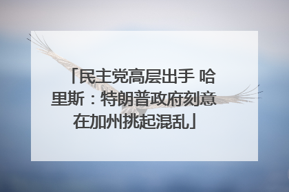 民主党高层出手 哈里斯：特朗普政府刻意在加州挑起混乱