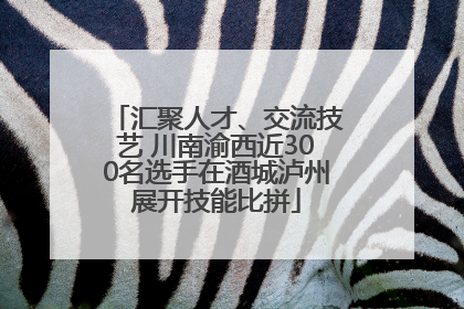 汇聚人才、交流技艺 川南渝西近300名选手在酒城泸州展开技能比拼
