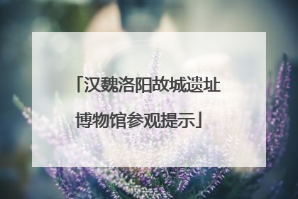 汉魏洛阳故城遗址博物馆参观提示
