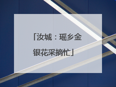 汝城：瑶乡金银花采摘忙