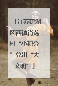 江苏建湖冈西镇肖荡村“小积分”兑出“大文明”