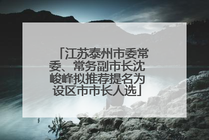 江苏泰州市委常委、常务副市长沈峻峰拟推荐提名为设区市市长人选