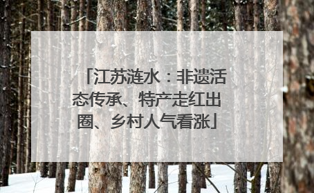 江苏涟水：非遗活态传承、特产走红出圈、乡村人气看涨