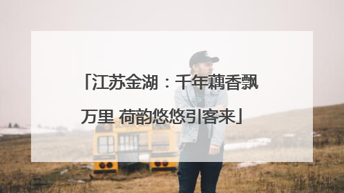 江苏金湖：千年藕香飘万里 荷韵悠悠引客来