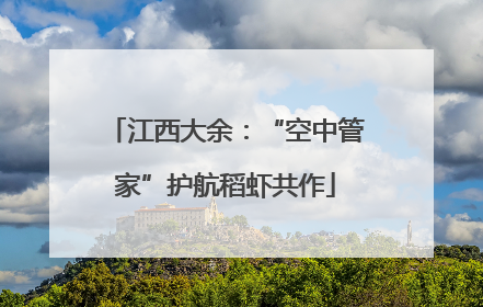 江西大余：“空中管家”护航稻虾共作