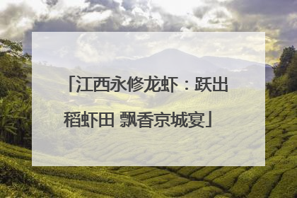 江西永修龙虾：跃出稻虾田 飘香京城宴