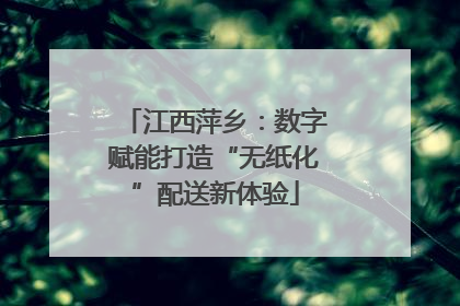 江西萍乡：数字赋能打造“无纸化”配送新体验