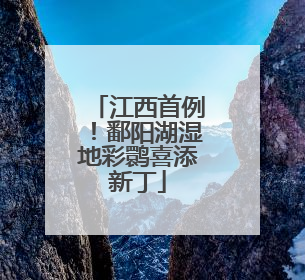 江西首例！鄱阳湖湿地彩鹮喜添新丁