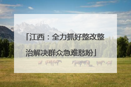 江西：全力抓好整改整治解决群众急难愁盼