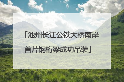 池州长江公铁大桥南岸首片钢桁梁成功吊装