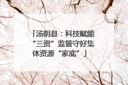 汤阴县：科技赋能“三资”监管守好集体资源“家底”
