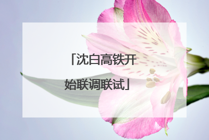 沈白高铁开始联调联试