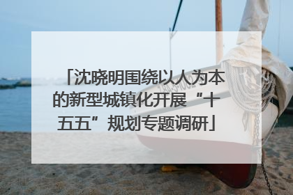 沈晓明围绕以人为本的新型城镇化开展“十五五”规划专题调研