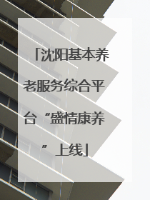 沈阳基本养老服务综合平台“盛情康养”上线