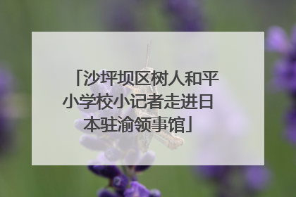 沙坪坝区树人和平小学校小记者走进日本驻渝领事馆