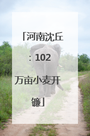 河南沈丘：102 万亩小麦开镰