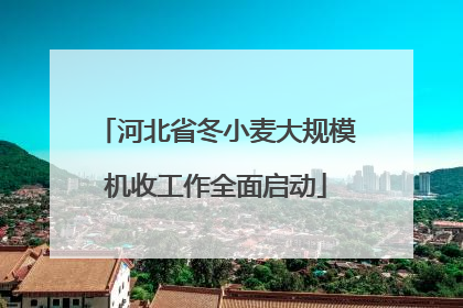 河北省冬小麦大规模机收工作全面启动
