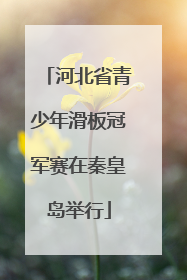 河北省青少年滑板冠军赛在秦皇岛举行