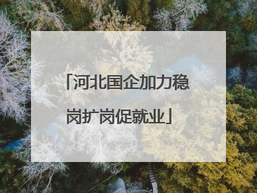 河北国企加力稳岗扩岗促就业