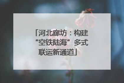 河北廊坊：构建“空铁陆海”多式联运新通道