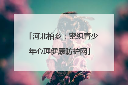 河北柏乡：密织青少年心理健康防护网