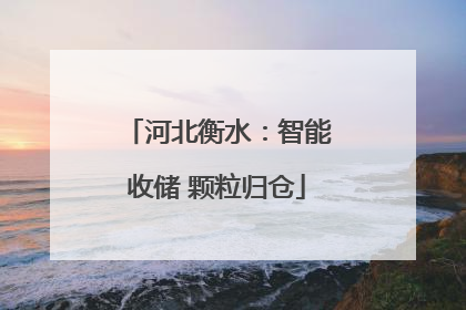 河北衡水：智能收储 颗粒归仓