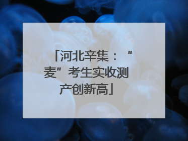 河北辛集：“麦”考生实收测产创新高